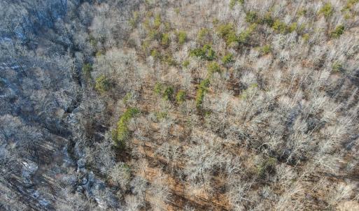 Photo #15 of SOLD property in Off Hairfield Lane, Axton, VA 73.3 acres