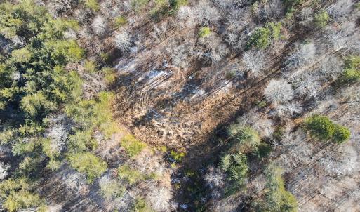Photo #16 of SOLD property in Off Hairfield Lane, Axton, VA 73.3 acres