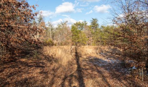 Photo #17 of SOLD property in Off Hairfield Lane, Axton, VA 73.3 acres