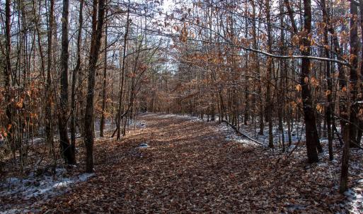 Photo #19 of SOLD property in Off Hairfield Lane, Axton, VA 73.3 acres
