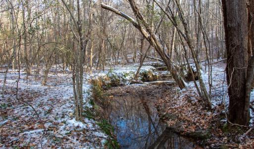Photo #20 of SOLD property in Off Hairfield Lane, Axton, VA 73.3 acres
