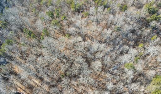 Photo #21 of SOLD property in Off Hairfield Lane, Axton, VA 73.3 acres