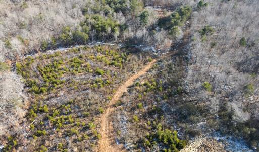 Photo #22 of SOLD property in Off Hairfield Lane, Axton, VA 73.3 acres