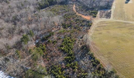 Photo #23 of SOLD property in Off Hairfield Lane, Axton, VA 73.3 acres