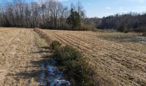 Photo #31 of SOLD property in Off Hairfield Lane, Axton, VA 73.3 acres