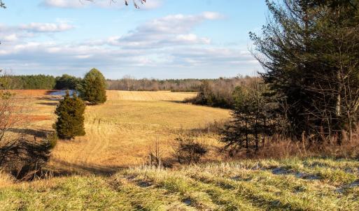 Photo #39 of SOLD property in Off Hairfield Lane, Axton, VA 73.3 acres