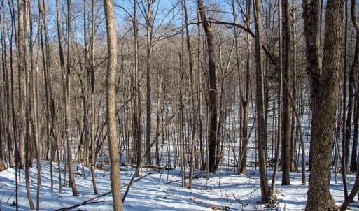 Photo #11 of Off Kemp Ford Rd., Union Hall, VA 7.1 acres