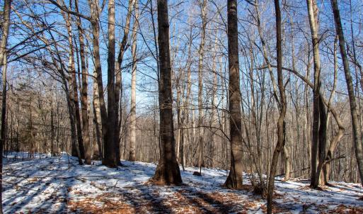Photo #13 of Off Kemp Ford Rd., Union Hall, VA 7.1 acres