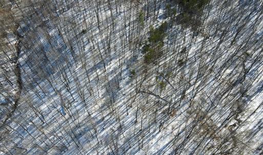 Photo #15 of Off Kemp Ford Rd., Union Hall, VA 7.1 acres