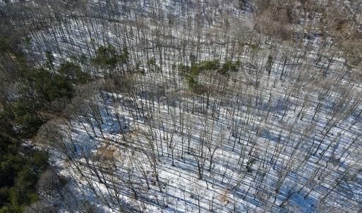 Photo #16 of Off Kemp Ford Rd., Union Hall, VA 7.1 acres