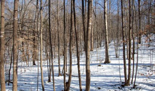 Photo #18 of Off Kemp Ford Rd., Union Hall, VA 7.1 acres