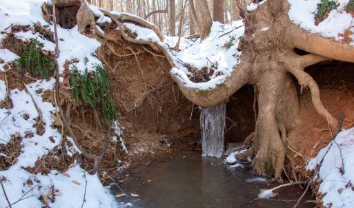 Photo #19 of Off Kemp Ford Rd., Union Hall, VA 7.1 acres