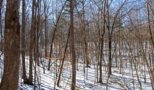 Photo #20 of Off Kemp Ford Rd., Union Hall, VA 7.1 acres
