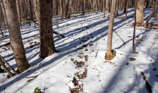 Photo #21 of Off Kemp Ford Rd., Union Hall, VA 7.1 acres