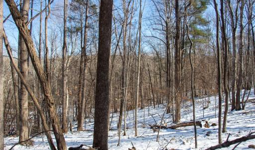 Photo #23 of Off Kemp Ford Rd., Union Hall, VA 7.1 acres
