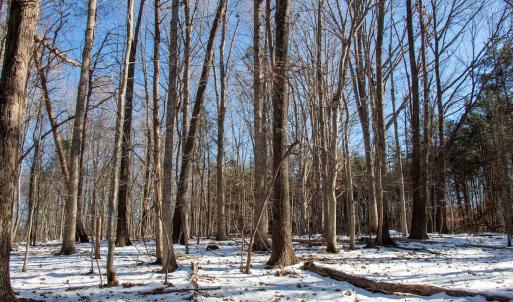 Photo #26 of Off Kemp Ford Rd., Union Hall, VA 7.1 acres