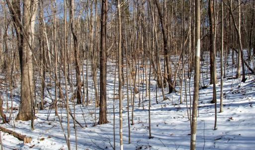 Photo #6 of Off Kemp Ford Rd., Union Hall, VA 7.1 acres