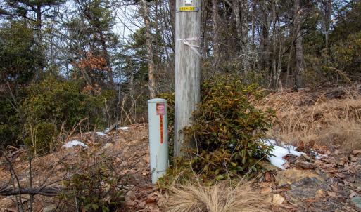 Photo #15 of Off Round Mountain Rd , Stuart, VA 5.7 acres