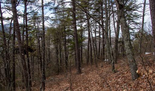 Photo #17 of Off Round Mountain Rd , Stuart, VA 5.7 acres