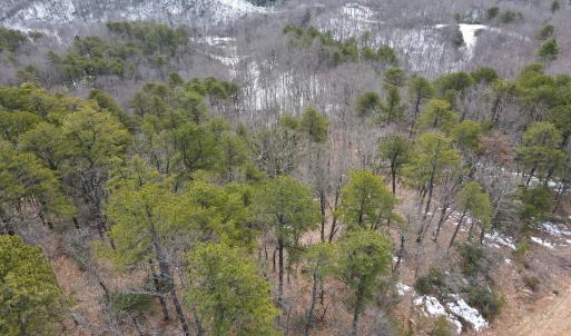 Photo #20 of Off Round Mountain Rd , Stuart, VA 5.7 acres