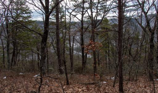 Photo #6 of Off Round Mountain Rd , Stuart, VA 5.7 acres