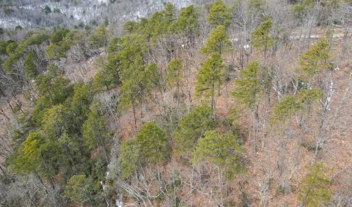 Photo #8 of Off Round Mountain Rd , Stuart, VA 5.7 acres