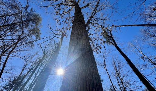 Photo #13 of Off Knollwood Dr, Burlington, NC 1.2 acres