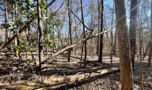 Photo #14 of Off Knollwood Dr, Burlington, NC 1.2 acres