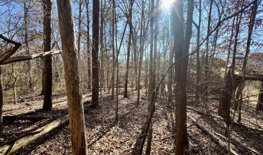 Photo #15 of Off Knollwood Dr, Burlington, NC 1.2 acres
