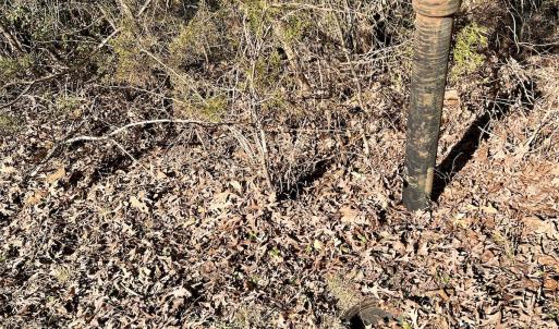 Photo #16 of Off Knollwood Dr, Burlington, NC 1.2 acres