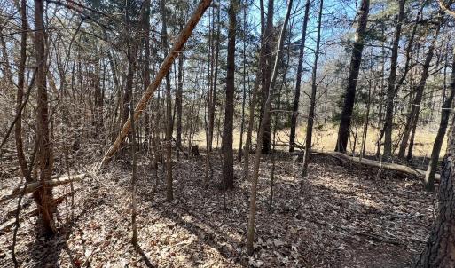Photo #2 of Off Knollwood Dr, Burlington, NC 1.2 acres