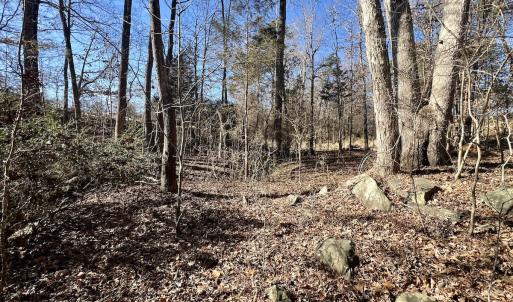Photo #18 of Off Knollwood Dr, Burlington, NC 1.2 acres