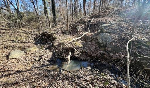 Photo #19 of Off Knollwood Dr, Burlington, NC 1.2 acres