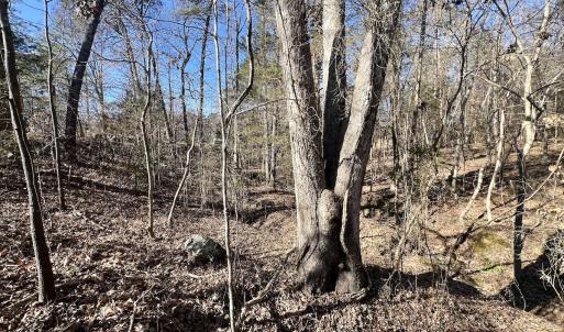 Photo #4 of Off Knollwood Dr, Burlington, NC 1.2 acres