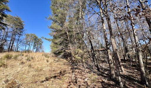 Photo #5 of Off Knollwood Dr, Burlington, NC 1.2 acres