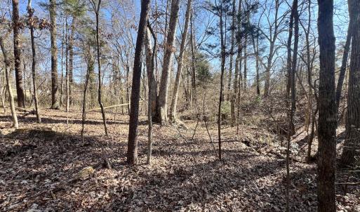 Photo #6 of Off Knollwood Dr, Burlington, NC 1.2 acres
