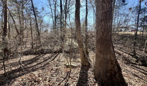 Photo #20 of Off Knollwood Dr, Burlington, NC 1.2 acres