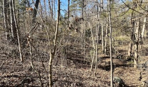 Photo #25 of Off Knollwood Dr, Burlington, NC 1.2 acres