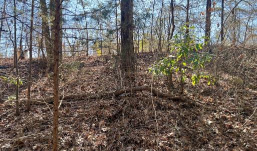 Photo #27 of Off Knollwood Dr, Burlington, NC 1.2 acres