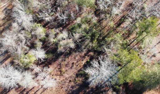 Photo #10 of SOLD property in 21521 Gilchrist St, Wagram, NC 0.5 acres