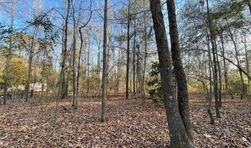 Photo #11 of SOLD property in 21521 Gilchrist St, Wagram, NC 0.5 acres
