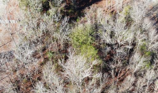 Photo #12 of SOLD property in 21521 Gilchrist St, Wagram, NC 0.5 acres