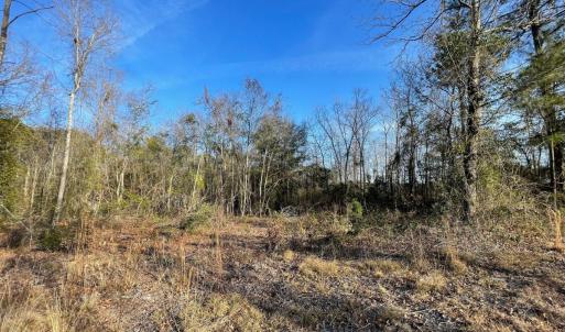 Photo #13 of SOLD property in 21521 Gilchrist St, Wagram, NC 0.5 acres