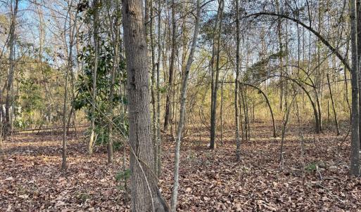 Photo #5 of SOLD property in 21521 Gilchrist St, Wagram, NC 0.5 acres