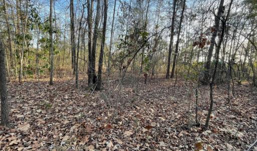 Photo #8 of SOLD property in 21521 Gilchrist St, Wagram, NC 0.5 acres