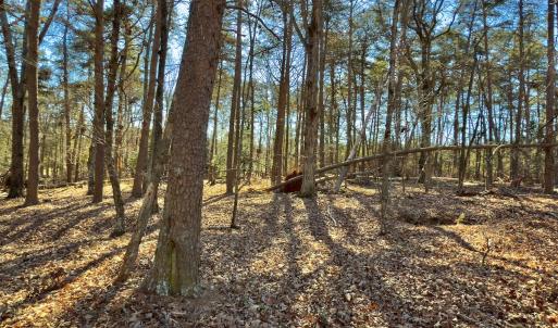 Photo #14 of SOLD property in 224 Badin View Dr, New London, NC 1.0 acres