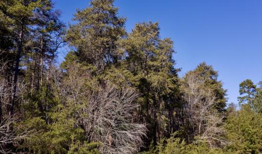 Photo #18 of SOLD property in 224 Badin View Dr, New London, NC 1.0 acres