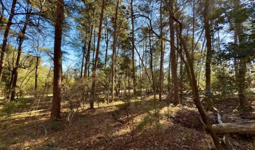 Photo #4 of SOLD property in 224 Badin View Dr, New London, NC 1.0 acres