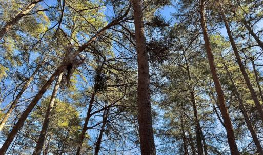Photo #7 of SOLD property in 224 Badin View Dr, New London, NC 1.0 acres