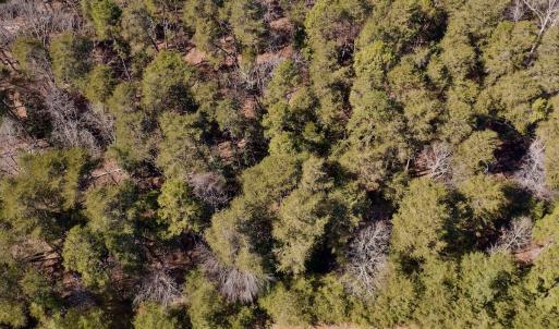 Photo #8 of SOLD property in 224 Badin View Dr, New London, NC 1.0 acres